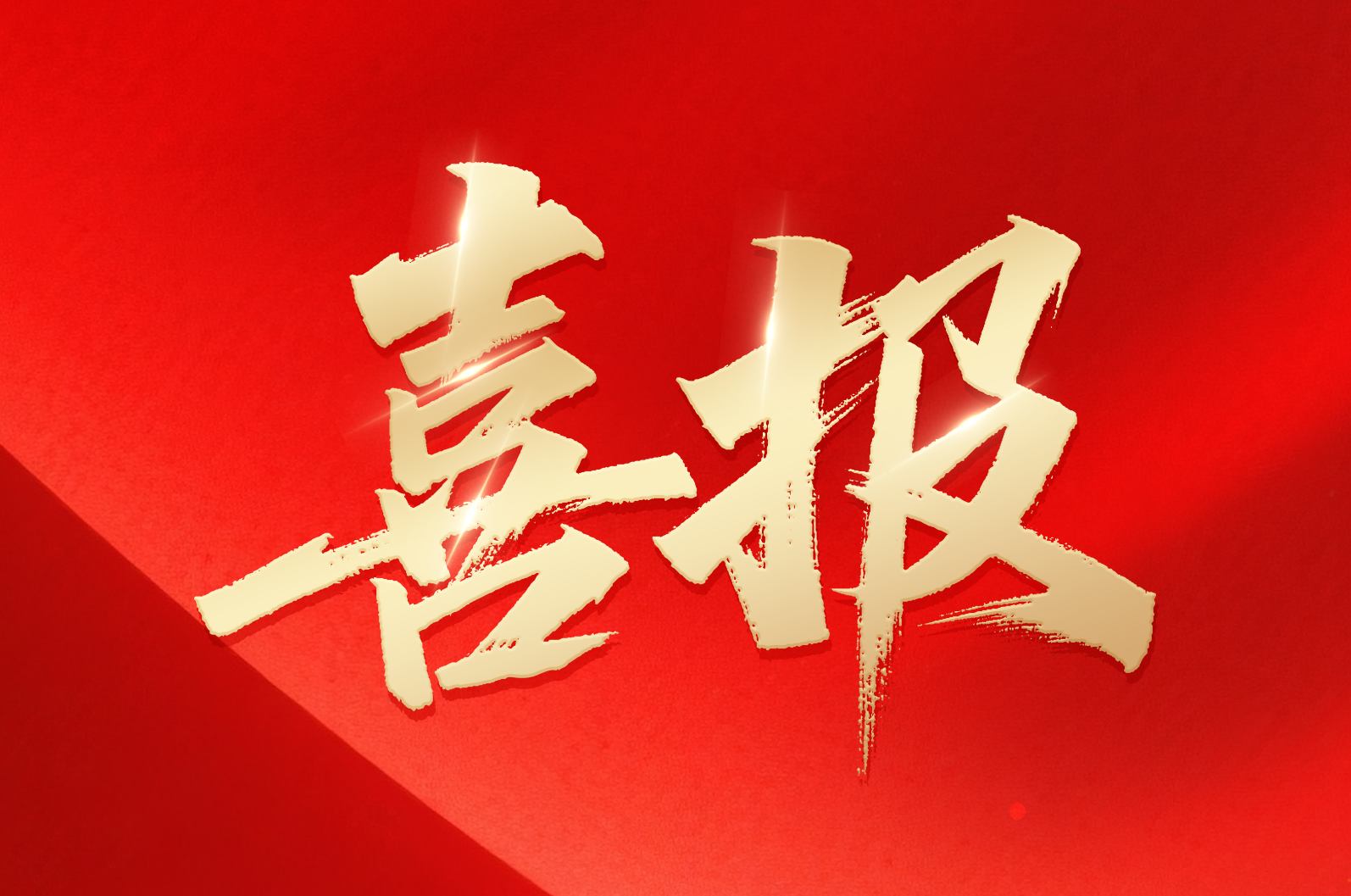 DS视讯在线｜喜报！公司荣获2024年拼搏奋进·衢州市长出格奖市当局质量奖