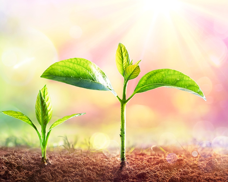 首页-DS视讯厅真人官方网站